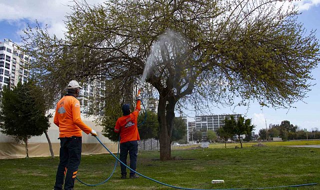 Mersin'de haşere ile mücadale çalışmaları hız kazandı