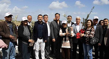 Mersin'de üreticilere 11 bin 100 adet zeytin fidanı desteği sağlandı