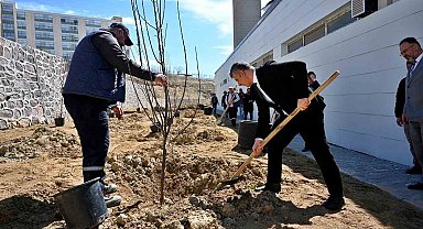 Mesai arkadaşlarından kızı vefat eden öğretim üyesine vefa: Kampüste meyve bahçesi oluşturdular