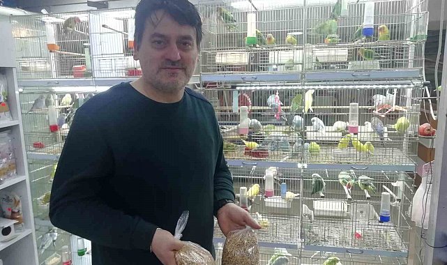 Petshopçuların Oda talebi