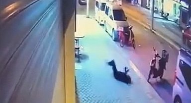 Sevgilisinin camdan düşerek hayatını kaybetmesi sonucu tutuklanan şüphelinin ifadesine ulaşıldı