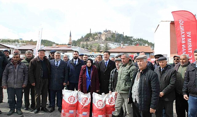 Seyitgazi'de 3 bin 240 dekar tarla ayçiçeği ile renklenecek