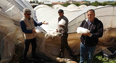 Şiddetli dolu serayı çökertti, açıktaki ürünlere ağır hasar verdi