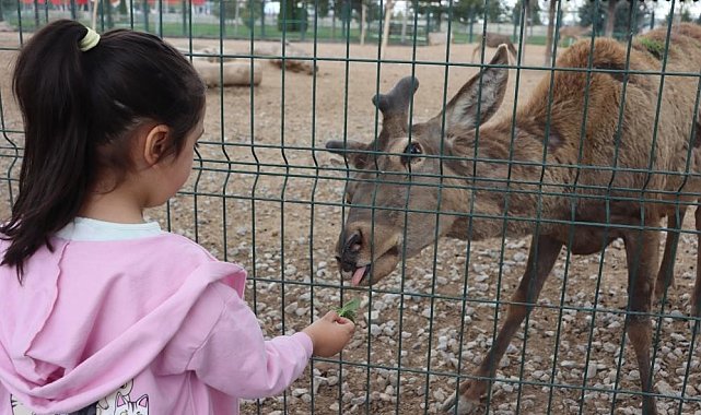 Vatandaşlar bayramda hayvanat bahçesine akın etti: 100 bin ziyaretçi