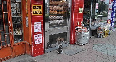 Yiyemediği etleri hayranlıkla izledi