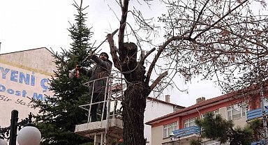 Yozgat Belediyesi ağaçlara bahar bakımı yapıyor