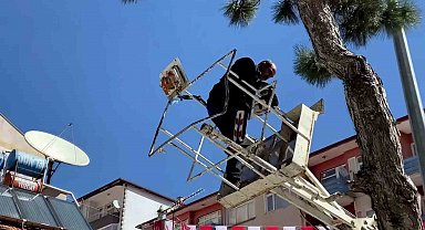 Ağaçta mahsur kalan kediyi itfaiye kurtardı