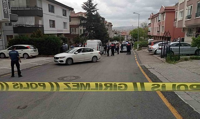 Akli dengesi bozuk şahıs dehşet saçtı: Kız kardeşini öldürdü, erkek kardeşini yaraladı