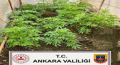 Başkentte uyuşturucuyla mücadele çalışmaları hız kesmeden devam ediyor