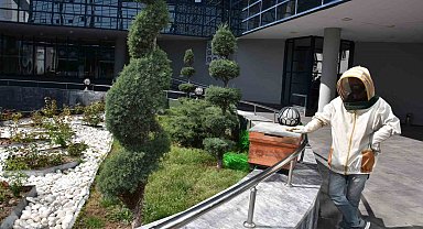 Belediyenin bahçesine konan oğul paniğe yol açtı