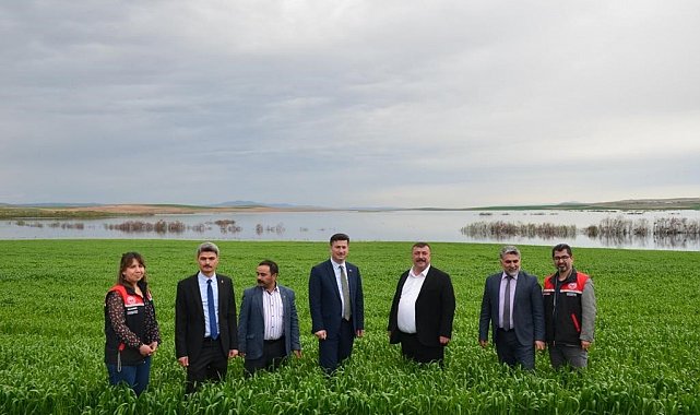 Beylikova ayçiçeğinde zirveye oynuyor