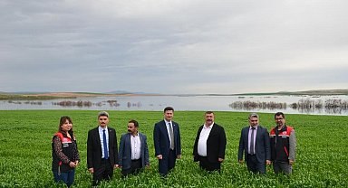 Beylikova ayçiçeğinde zirveye oynuyor