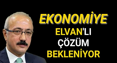 Ekonomiye ELVAN'lı Çözüm Bekleniyor