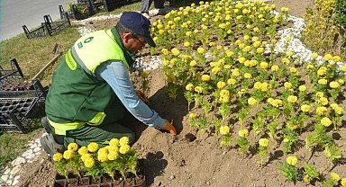 Ereğli Belediyesi park ve refüjlere çiçek dikimini sürdürüyor