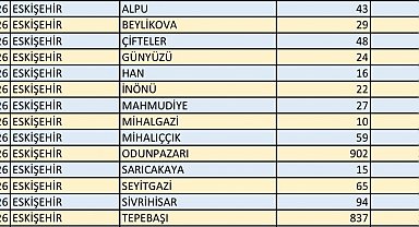 Eskişehir'de 688 bin 989 seçmen 2 bin 191 sandıkta oy kullanacak