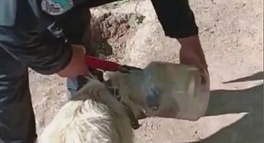 Kafası bidona sıkışan köpeği itfaiye kurtardı