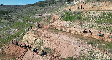Kahveci Dağı eteklerine 2 bin sedir fidanı dikiliyor