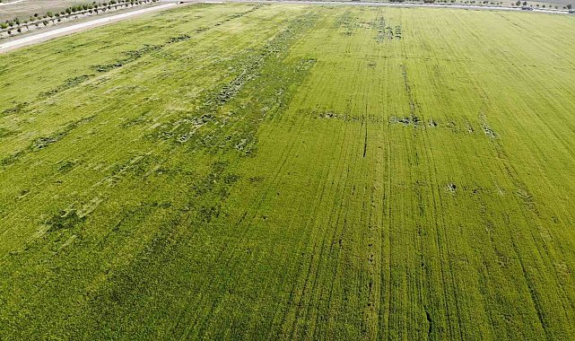 Karadeniz'den çıkan doğal gazla kurulacak gübre fabrikaları çiftçileri umutlandırdı