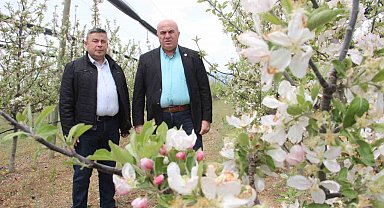 Karaman'da 12 milyon elma ağacı aynı anda çiçek açtı