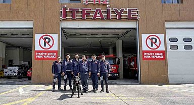 Kayalıklarda mahsur kalan köpeğin yardımına itfaiye ekipleri yetişti