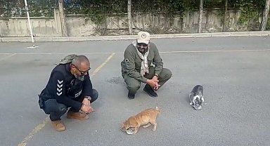 Kayseri polisi, depremin merkez üssündeki hayvanlara şefkat eli uzatıyor
