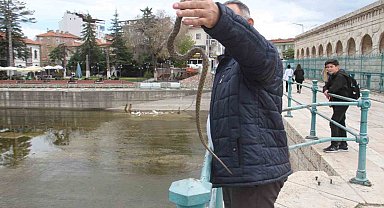 Konya'da havalar ısındı, yılanlar ortaya çıkmaya başladı