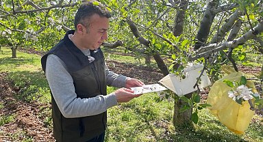 Konya'da zararlılar kameralı tuzak sistemi ile takip edilecek