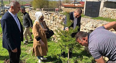 Küpeli köyünde fidanlar toprakla buluştu