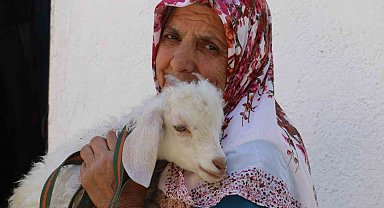 Kuzusuna bebek gibi bakıyor, yanından hiç ayırmıyor