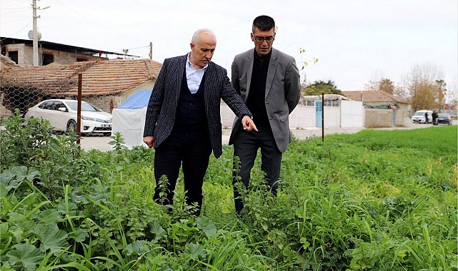 Mersin'de ata yadigarı karakılçık tohumunun üretiminden büyük verim elde edildi