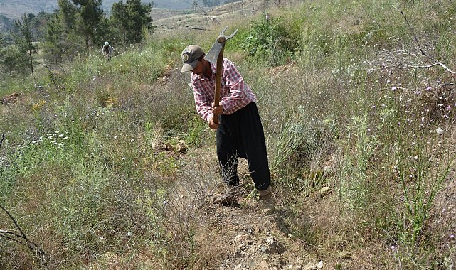 Mersin'de yanan orman sahalarında bakım çalışmaları tamamlandı