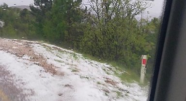 Mihalıççık'ta dolu yağışı tarım arazilerine zarar verdi