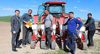 Mikoriza mantarı ile ekimler yapıldı