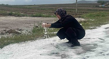 Nevşehir'de 30 bin dekar ekili arazi doludan zarar gördü