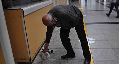 Otogarı mesken edinen 'Paslak' yazıhanenin maskotu haline geldi
