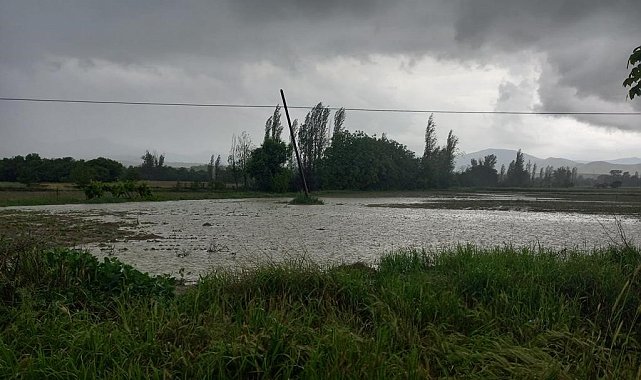 Sağanak ve dolu yağışı tarım arazilerini vurdu