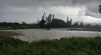 Sağanak ve dolu yağışı tarım arazilerini vurdu