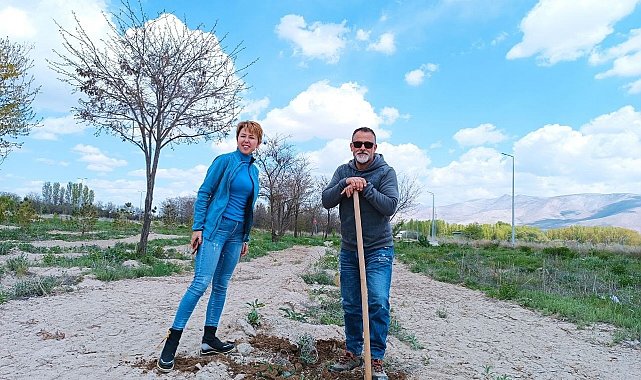 Sahipsiz hayvanlar için fidan diktiler