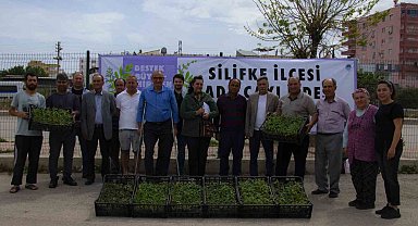 Silifke'de üreticilere 50 bin adet ada çayı fidesi desteği