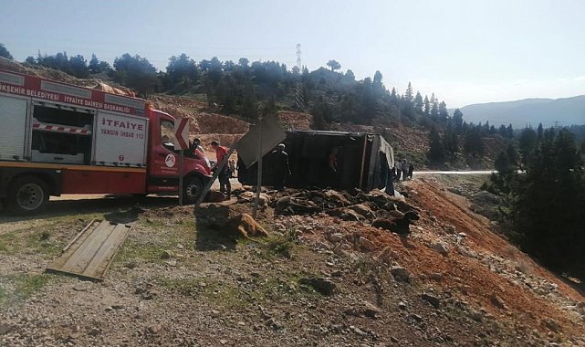 Tır devrildi, 60 hayvan telef oldu