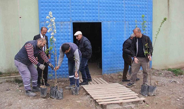 Traktör kazasında ölen babası için ilginç bir hayır yaptı