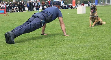 Tüm matematik sorularını cevaplayan Jandarma köpeği 'Rüzgar' izleyenleri hayran bıraktı