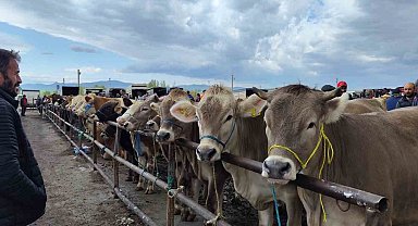 Türkiye'nin en büyük hayvan pazarı yeniden açıldı