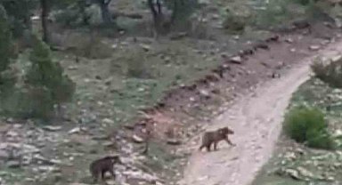 Yağmuru izlerken karşılaştılar, arabadan inmeye korktular