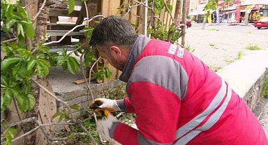 Yaralı ebabil kuşuna Kocasinan Belediyesi sahip çıktı