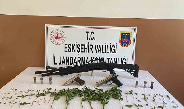 Yasa dışı esrar yetiştiren şahsın evine jandarmadan operasyon