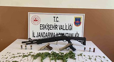 Yasa dışı esrar yetiştiren şahsın evine jandarmadan operasyon
