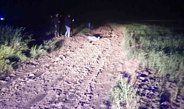 Yaylada üzerlerine yıldırım düştü: 1 ölü, 1 yaralı