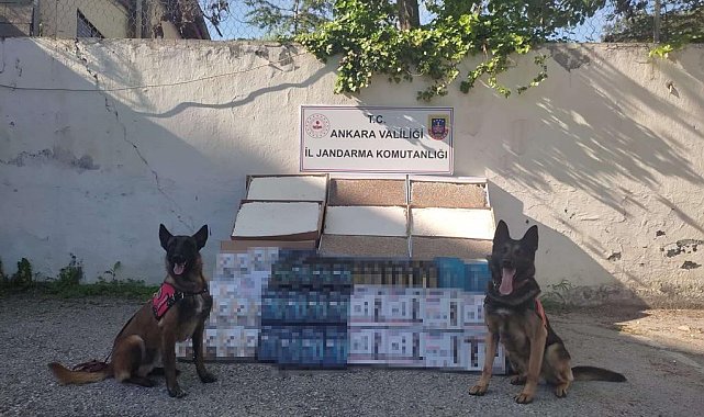 Ankara İl Jandarma Komutanlığı 825 bin liralık kaçak ürün ele geçirdi