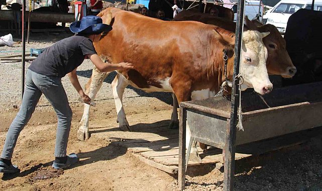 Bayram yaklaştı pazarlıklar kızıştı
